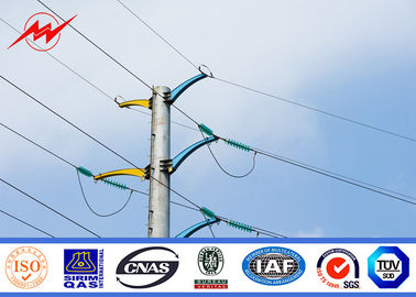 中国 8 等級の地震に対する 8m の 750dan によって電流を通される電気サービス ポーランド人 サプライヤー