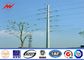 33kv 10mの送電線のための鋼鉄電柱の電気事業ポーランド人 サプライヤー