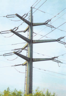 電流を通された配分の金属電信柱フィリピン30FT 35FT 45FT 2.75mm GR65 1