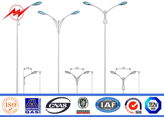 2 十字の腕を搭載する絵画 HDG 9m 二重アウトリーチによって電流を通される鋼鉄ポーランド人