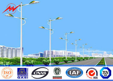 円形/八角形の 8m の熱いすくいは 30w LED の街灯ポーランド人に電流を通しました