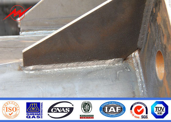 固定梯子をつける公園のための 15m の粉の上塗を施してある高いマストの屋外ランプ ポーランド人