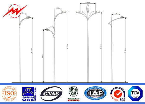 反錆 10m の多味方された鋼鉄私道の街灯柱 IP 65 4mm の厚さ