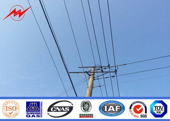 ポーランド人によってカスタマイズされる粉にされた絵画をはめ込んでいる高圧電力ポーランド人