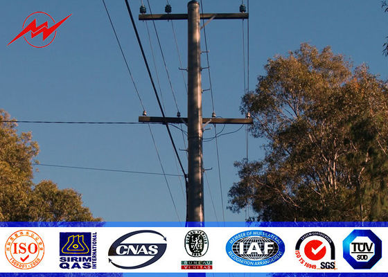 11.9mの16kn負荷電力のポーランド人100%の溶接の表面によって電流を通される処置