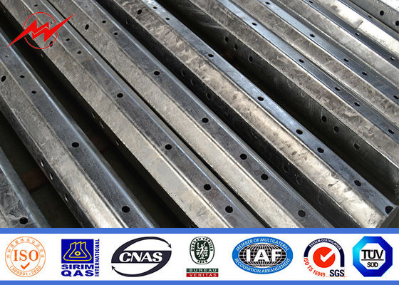 熱いすくいは220kv電気伝達のための11mの高圧電力ポーランド人に電流を通しました